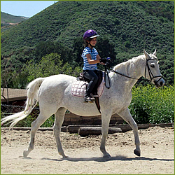 Neophyte Farms Horseback Riding